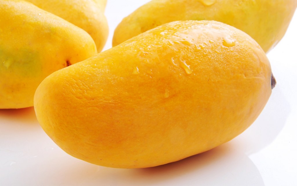 sindhri mango